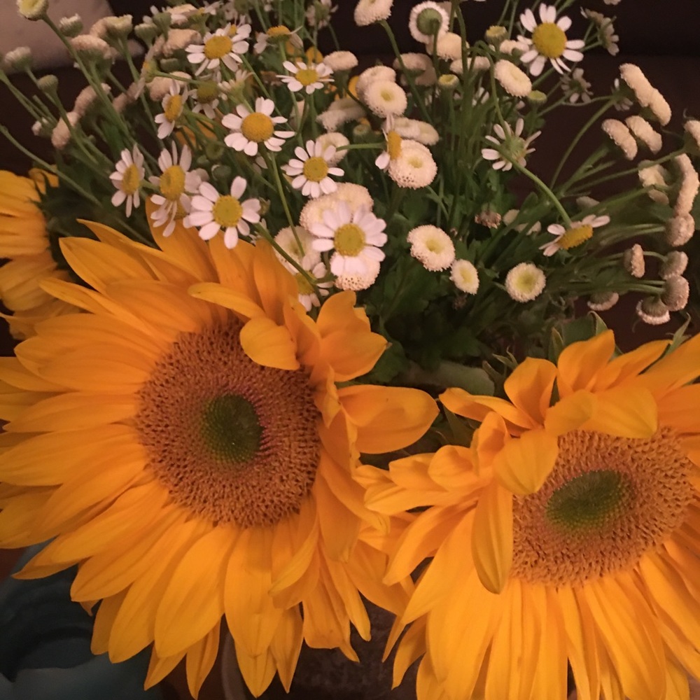 Meet your Posher, Lynda